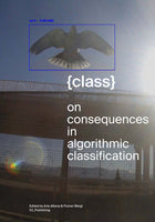 {class} – On Consequences in Algorithmic Classification